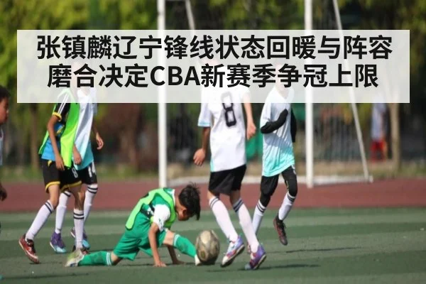 张镇麟辽宁锋线状态回暖与阵容磨合决定CBA新赛季争冠上限（Wending）